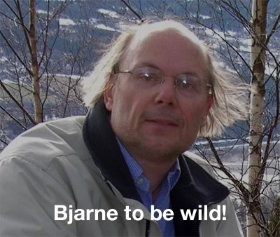 Bjarne Stroustrup: Bjarne to be wild!