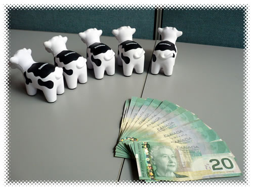 Five squishy cows turning their backs to a pile of $20 bills.