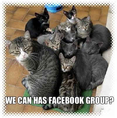 Photo of cats, captioned “WE CAN HAS FACEBOOK GROUP?”