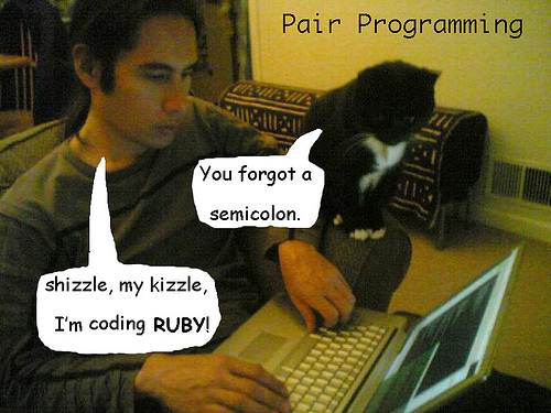 Guy pair programming with his cat. Cat: “You forgot a semicolon.” Guy:”Shizzle, my kizzle, I’m coding Ruby!”