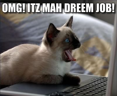Cat on computer: OMG! ITZ MAH DREEM JOB!