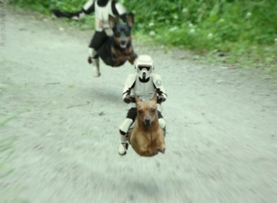 \"Star Wars\" stromtroopers riding dogs like speeder bikes