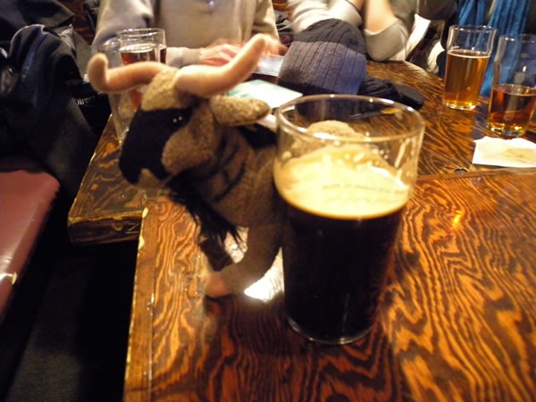 My plush gnu with a glass of oatmeal stout