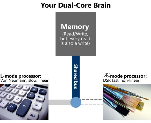 Diagram showing a "Dual core" model of the brain