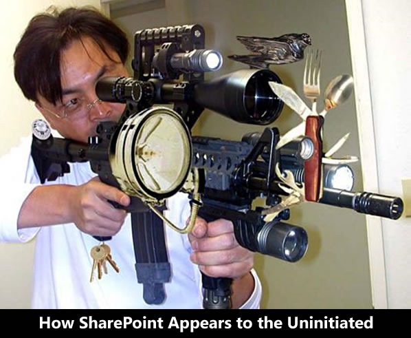 how sharepoint appears to uninitiated