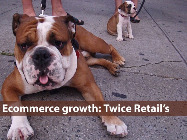 "Ecommerce Growth: Twice Retail's": Big dog beside little dog