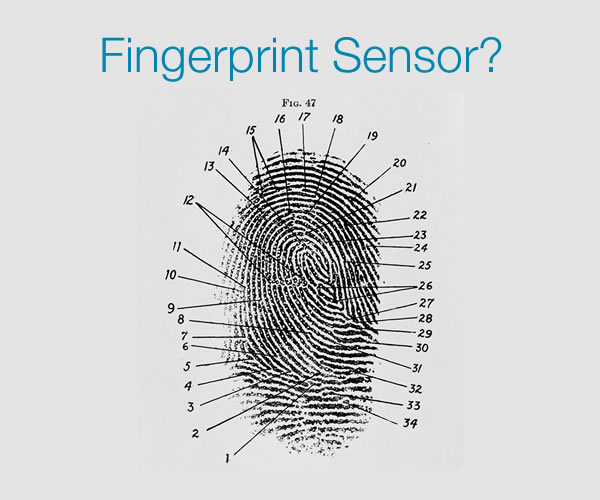 fingerprint sensor
