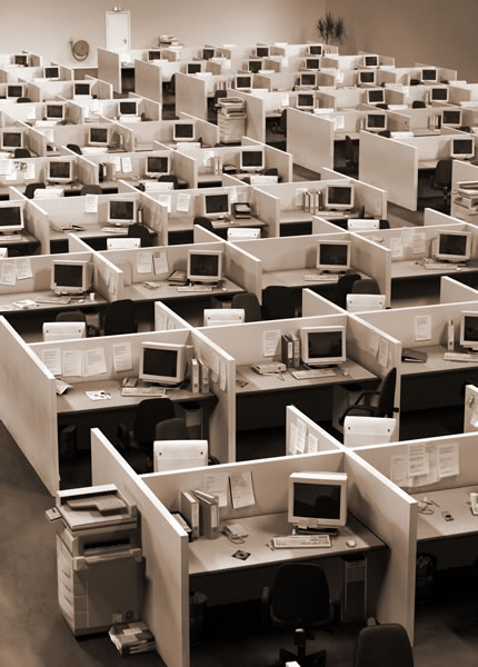 cubicles and computers