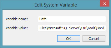 edit system variable