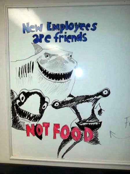 new employees are friends not food
