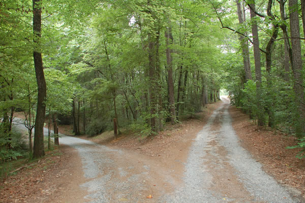 fork in the road