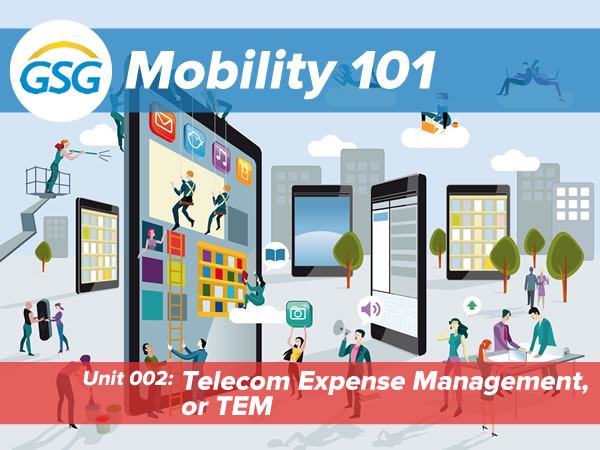 mobility 101 tem title card