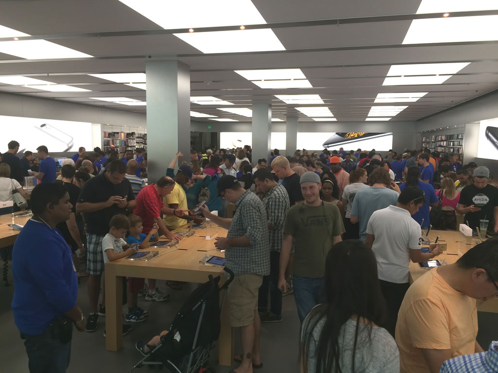 tampa apple store sept 20 2014