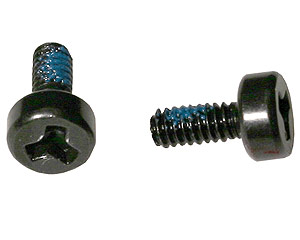 Photo: Two tri-lobe screws.
