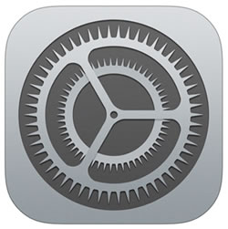 ios settings icon