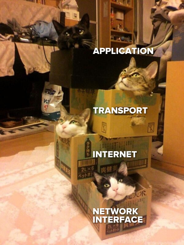 Photo: A stack of four boxes, each with a cat in it. The cats are labeled, from top to bottom: Application, transport, internet, and network interface.