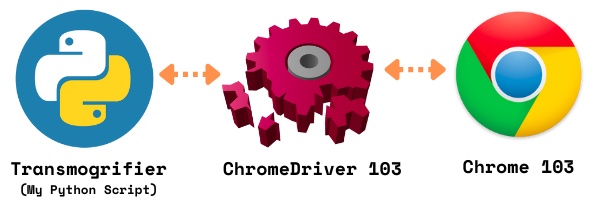 Why Your Selenium ChromeDriver Chrome Setup Stopped Working 