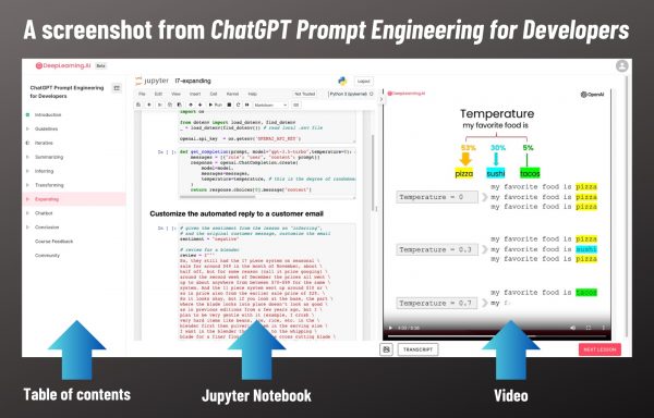 Screenshot from “ChatGPT Prompt Engineering for Developers,” showing the screen’s three parts — table to contents, Jupyter Notebook, and video.